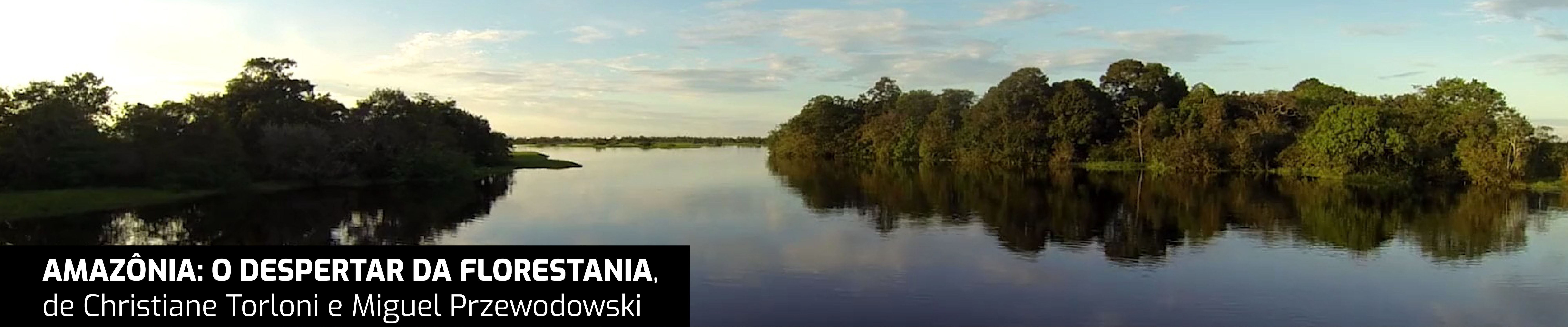 Um rio largo aqui na frente e afunilado ao fundo pela vegetação nas laterais, tem refletido no espelho d’água, o céu azul claro, com nuvens esparsas e a suave luz do sol mais intensa à esquerda. O horizonte é uma fina faixa de terra distante. O título e o nome do diretor, estão numa faixa preta com letras brancas, no canto inferior esquerdo.